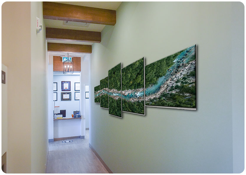 Warm & Welcoming Reception Area | River Harmony Dental | General & Family Dentist | Cochrane | Alberta